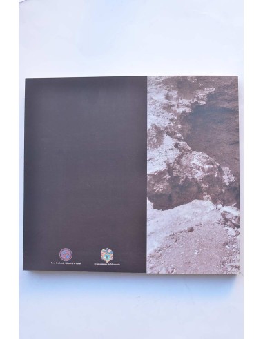 Los orígenes del siglo minero en Murcia