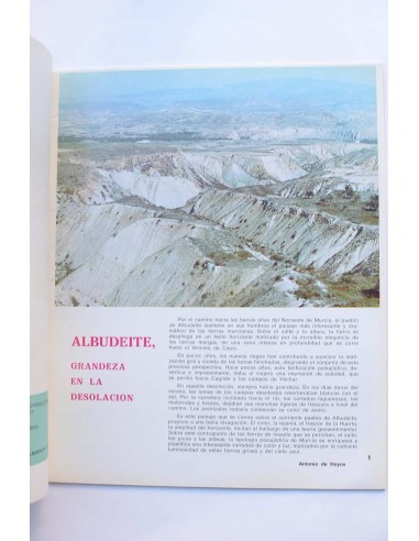 Albudeite