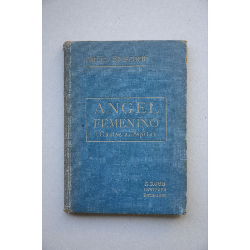 Angel Femenino : cartas confidenciales a Pepita