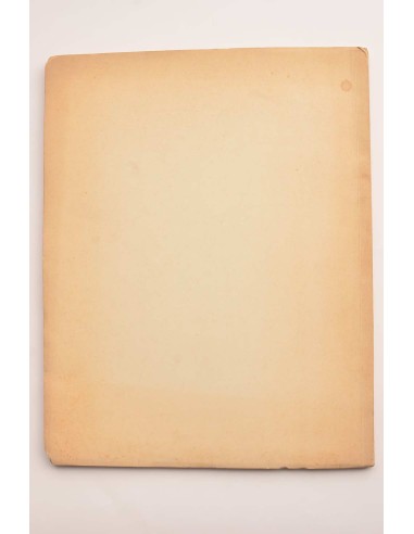 La cerámica murciana decorada