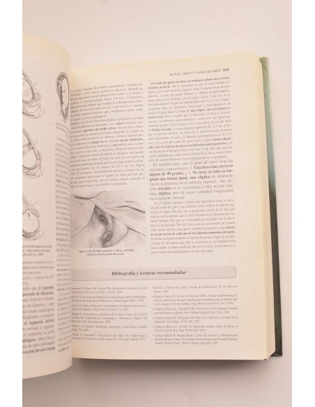 Tratado de Obstetricia y Ginecología. Obstetricia