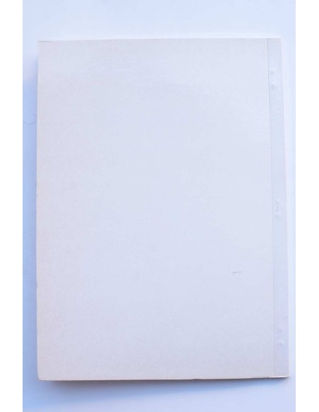 Aproximación a la historia de la Ermita y Hermandad de Nuestra Señora del Carmen de la ciudad de Mula (Murcia)