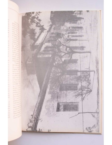 Retama (colaboraciones interdisciplinares). Nº 3