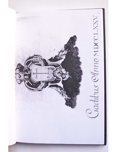 Planos y dibujos dela Catedral Nueva