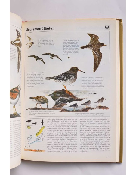 Das goldene kosmos-vogelbuch