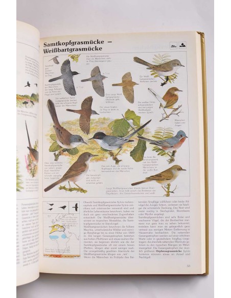 Das goldene kosmos-vogelbuch