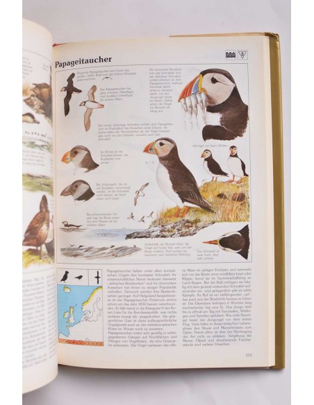 Das goldene kosmos-vogelbuch