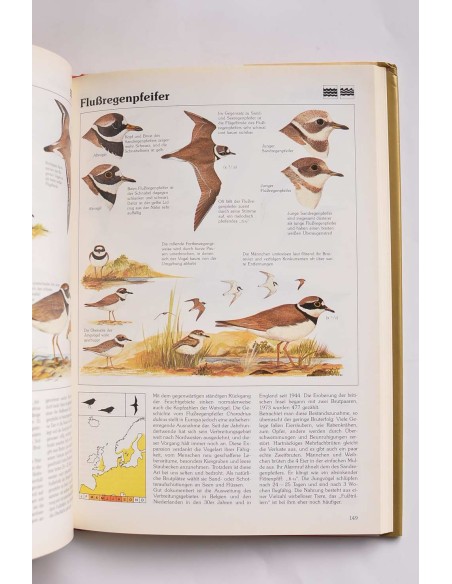 Das goldene kosmos-vogelbuch