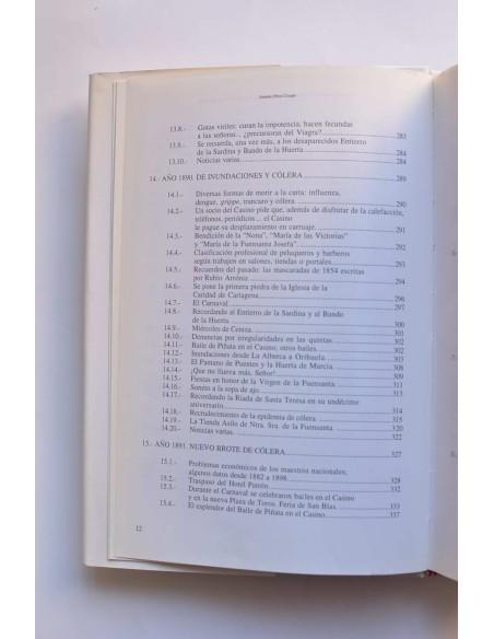 El Entierro de la Sardina y el Bando de la Huerta en el siglo XIX, Tomo II