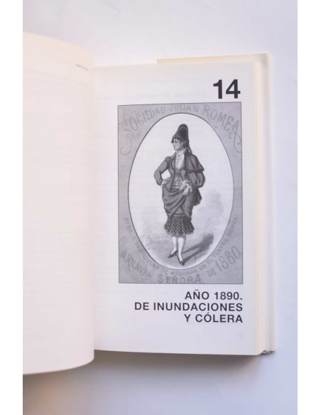 El Entierro de la Sardina y el Bando de la Huerta en el siglo XIX, Tomo II
