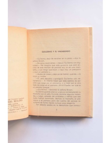 Guillermo y el vagabundo