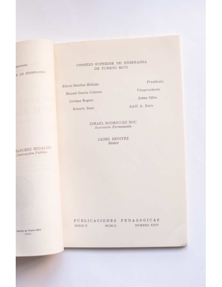 Funciones gramaticales en el habla infantil