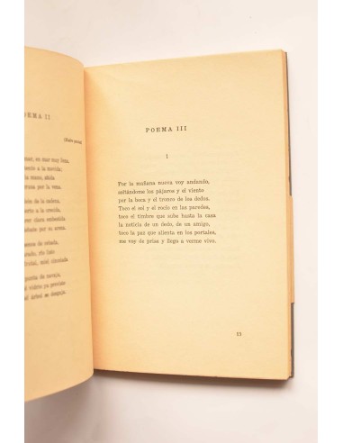 Dios se llama forastero