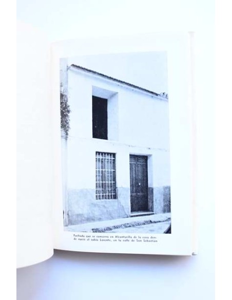 El sabio Lorente. Un murciano en el Perú