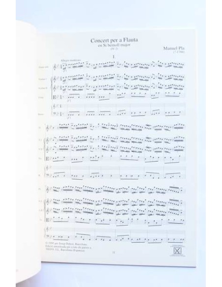 Concerte per a flauta en si bemoll major (IV-2)