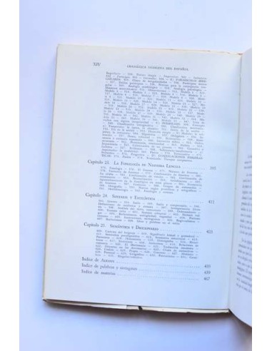 Gramática moderna del español. Teoría y norma