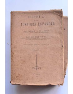 Historia de la literatura española 2