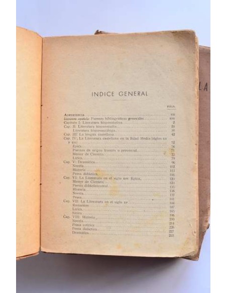 Historia de la literatura española