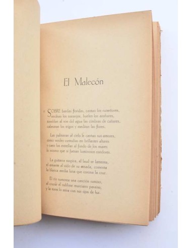 El aroma del arca. Poesías