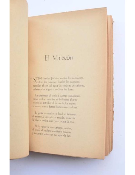 El aroma del arca. Poesías