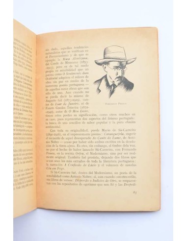 Visión de la literatura portuguesa