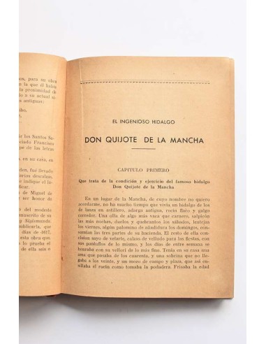 Don Quijote de la Mancha (Edición escolar)