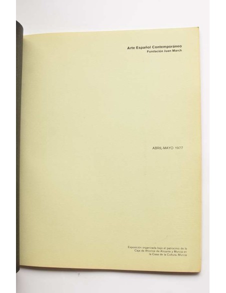 Arte español contemporáneo