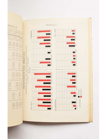 El regadío murciano, problema nacional