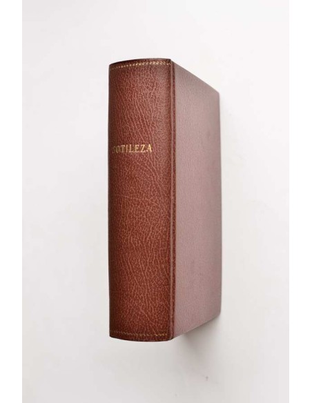 Sotileza