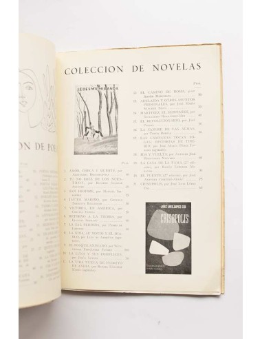 Poesía, teatro y novela