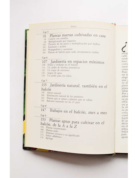 El jardín en el balcón