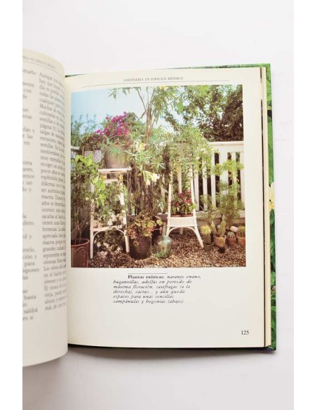 El jardín en el balcón