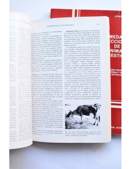 Enfermedades infecciosas de los animales domésticos