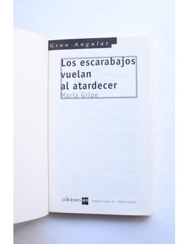 Los escarabajos vuelan al atardecer