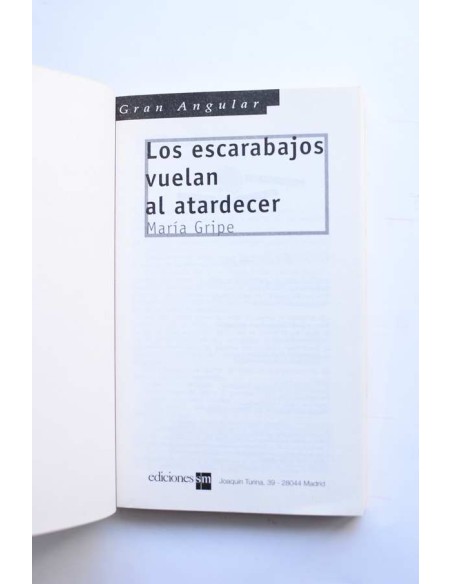 Los escarabajos vuelan al atardecer