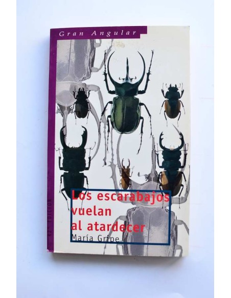 Los escarabajos vuelan al atardecer