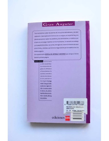 Los escarabajos vuelan al atardecer