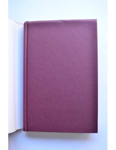 La pirámide asesinada