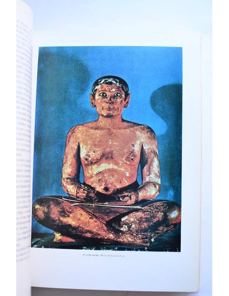 El desnudo en las artes