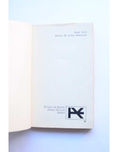 Retrato del artista adolescente 2