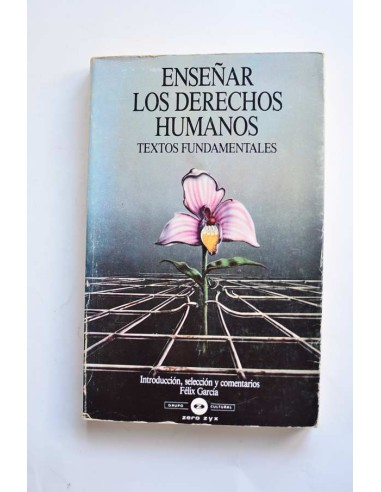 Enseñar los derechos humanos. Textos fundamentales