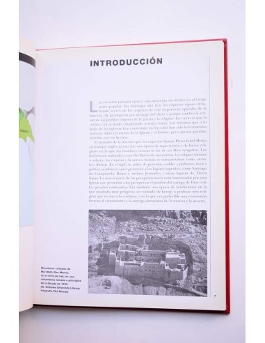 La lucha por Tierra Santa