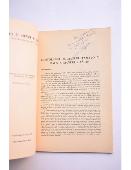 Epistolario de Manuel Tamayo y Raus a Manuel Cañete