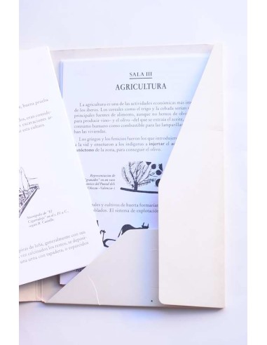 Museo del Cigarralejo. Cuadernos didácticos
