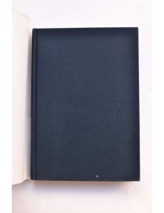 El español en el mundo. Anuario del Instituto Cervantes 1999 2