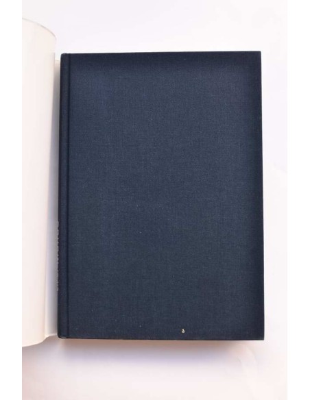 El español en el mundo. Anuario del Instituto Cervantes 1999