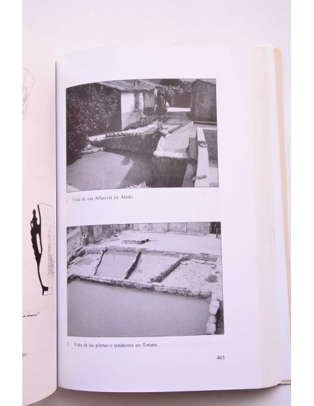 Cultura y sociedad en Murcia