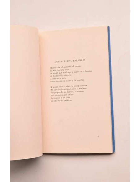 El tiempo y la mirada