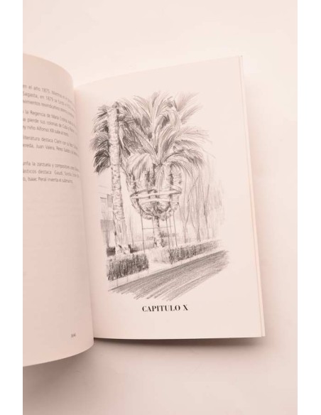 La palmera y el pilón