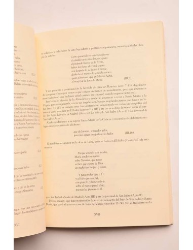 La virgen de la Almudena (poema histórico)